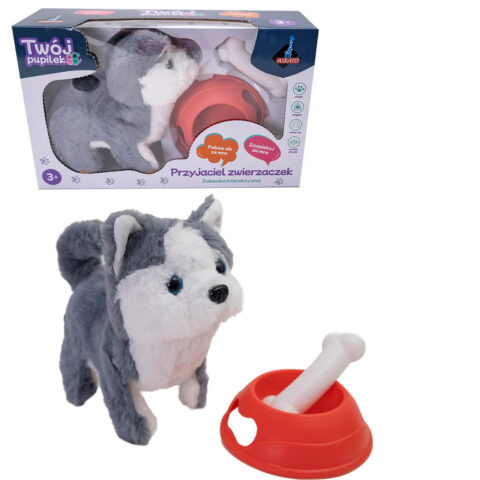 Askato Twój pupilek piesek interaktywny Husky z akcesoriami
