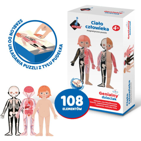 Magnetyczne puzzle Askato - Ciało Człowieka
