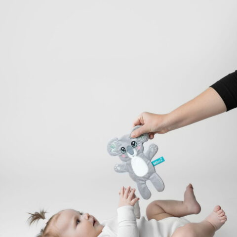 Koala szeleszcząca szmatka - momscare.pl