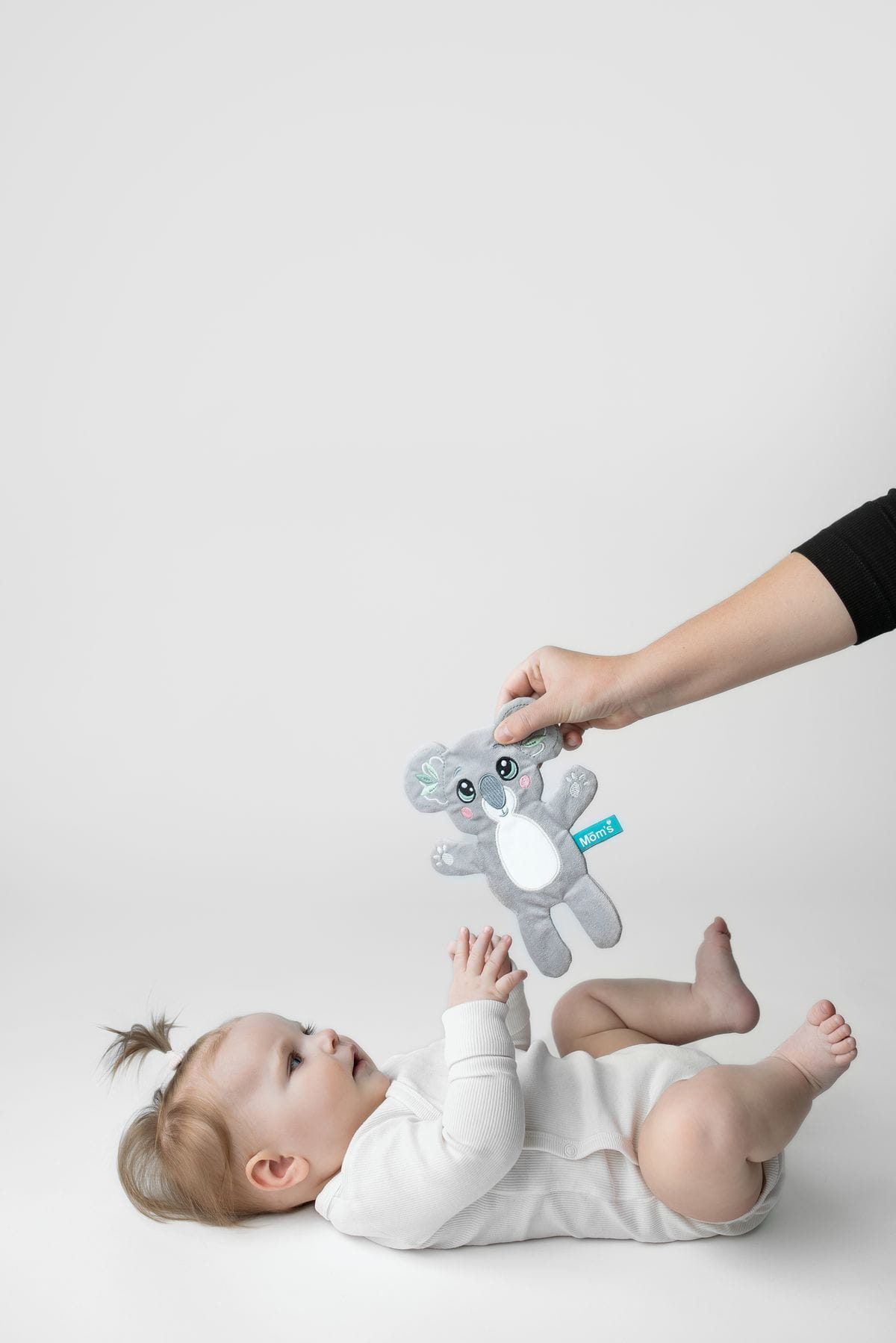 Koala szeleszcząca szmatka - momscare.pl