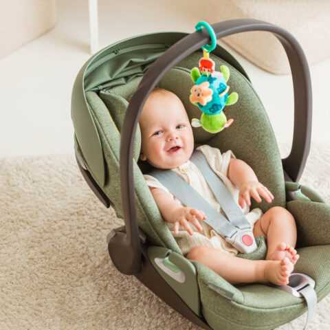 Jolly Baby Zawieszka Żółwik Staś z wibracją