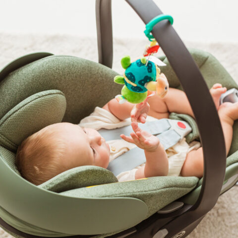 Jolly Baby Zawieszka Żółwik Staś z wibracją