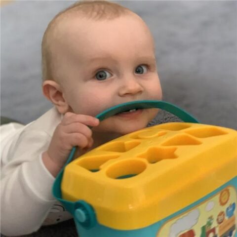 Wiaderko z zabawkami do wkładania Baby Mix